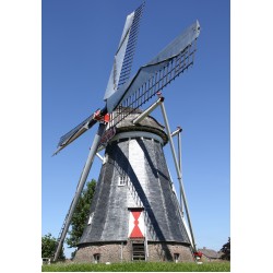 Horn - De Hoop 01